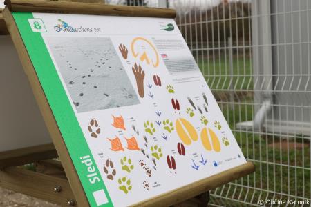 Z zasaditvijo dreves smo uradno odprli kolesarsko povezavo Kamnik–Godič (99)